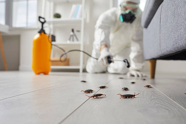 Commercial Kitchen Cockroach Control in Schuyler